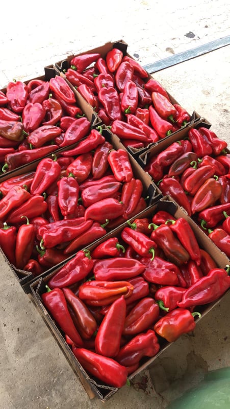 Производство